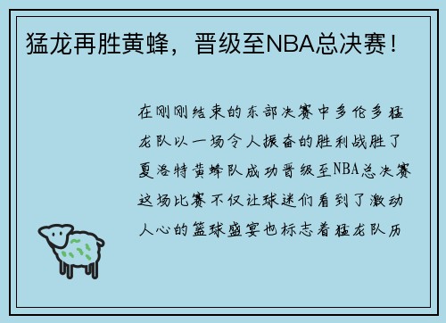 猛龙再胜黄蜂，晋级至NBA总决赛！